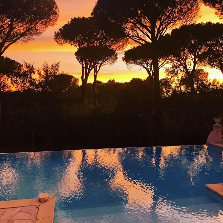La Villa D’Aimée Vidauban Esterno foto